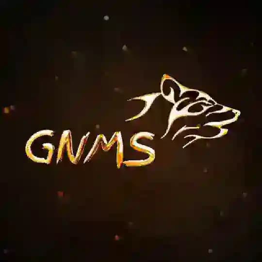 GNMS Editz 🪄 - ⁴ᴷ ᵂʰᵃᵗˢᵃᵖᵖ ˢᵗᵃᵗᵘˢ