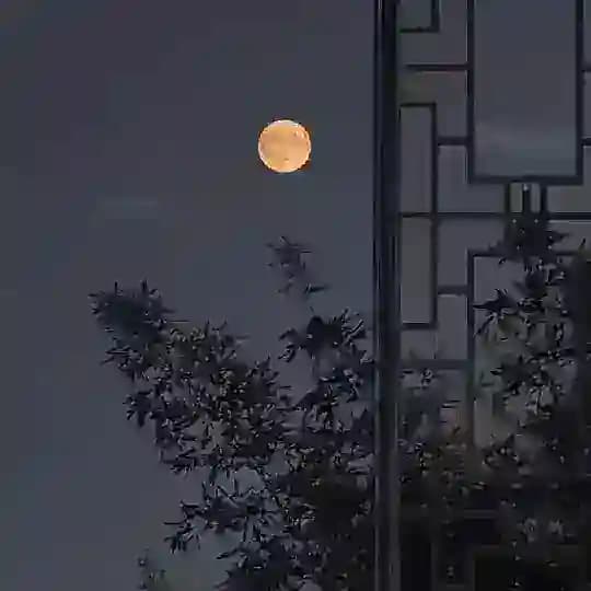 وصل شیم | مآهِتاریک🕊