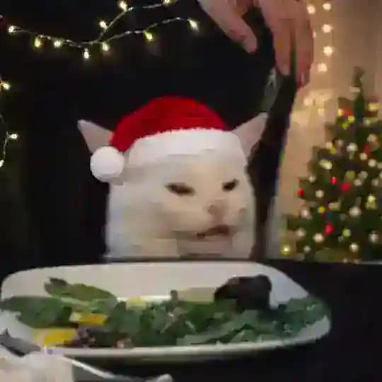 RegaLeakShit🎄