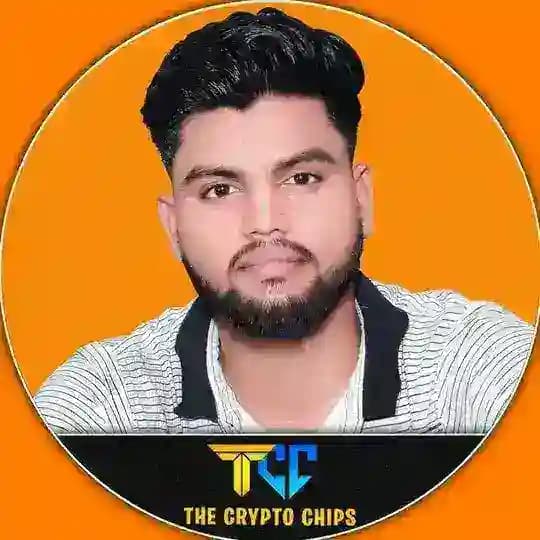 The Crypto Chips