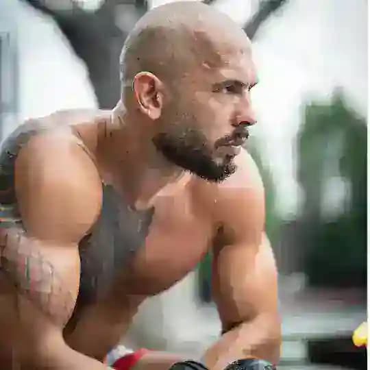 TeamTate Updates