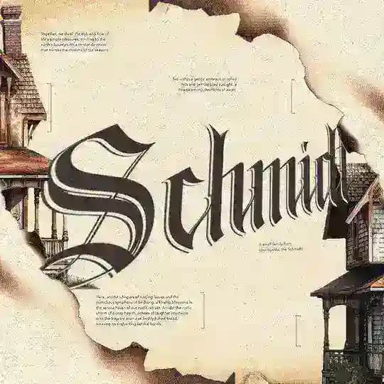 THE SCHMIDT. Profile