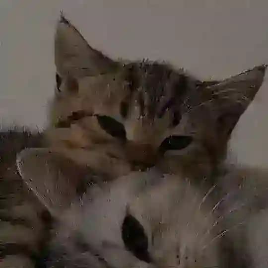 Я хочу