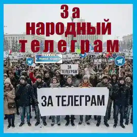 За народный телеграм Profile