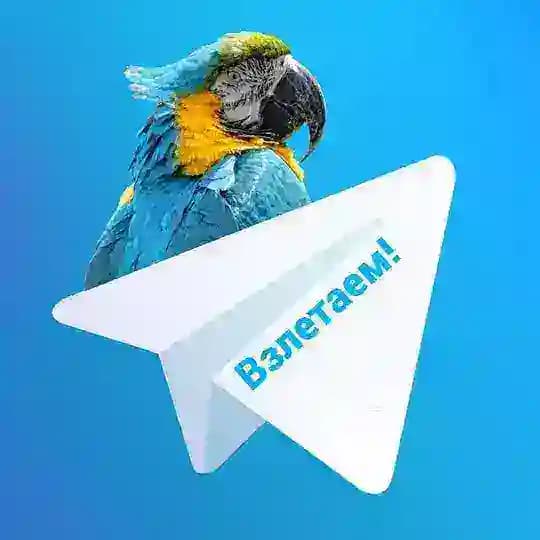 Взлетаем! Profile