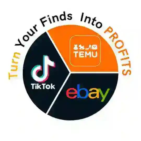 TEMU+ebay+TikTok 2025
