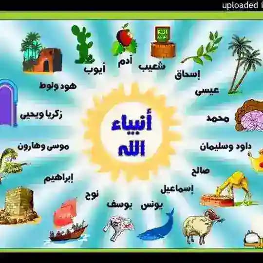 قصص 🌹الانبياء🌙 Profile