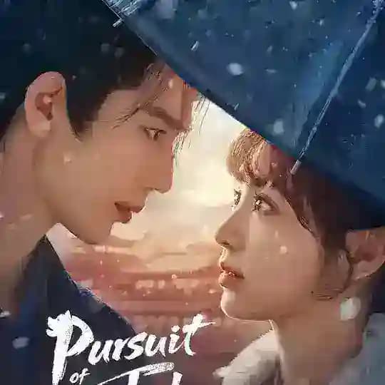 🪷Dramas for every taste🪷