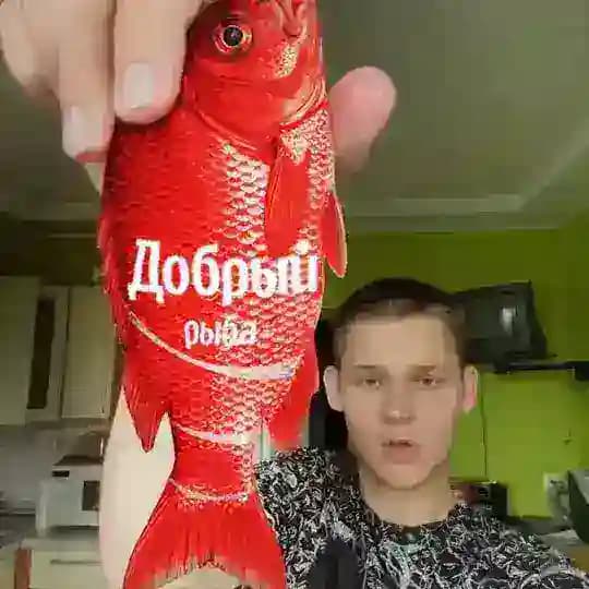 Колян Борян #59GANG