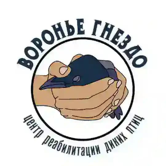 "Воронье Гнездо" - помощь птицам