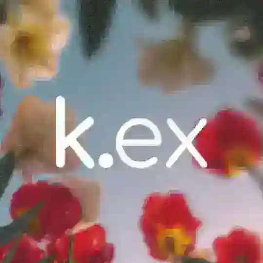 korean experts