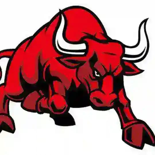Finobulls