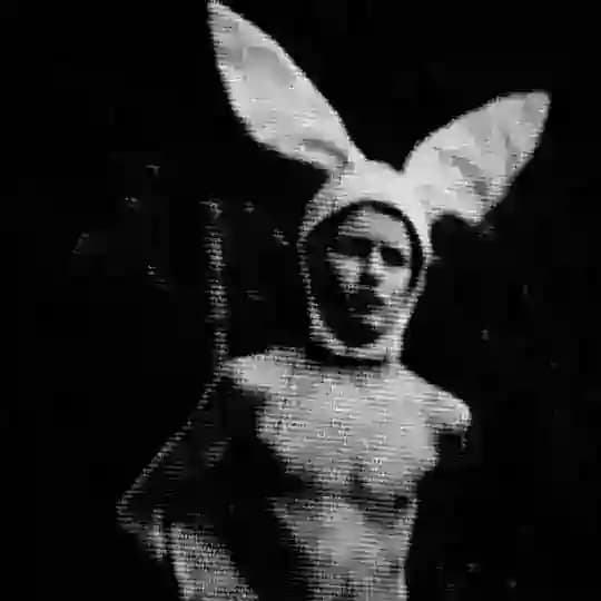 Leo Rabbit (Кролик Лео)