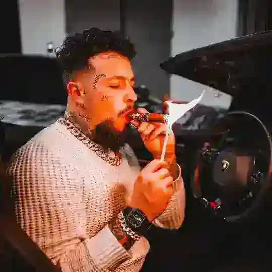 𝗠𝗮𝗺𝗯𝗮 𝗙𝗼𝗿𝗲𝘅 𝗦𝗶𝗴𝗻𝗮𝗹𝘀 📈 ®