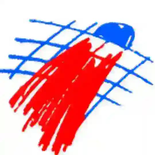 NFBR Badminton