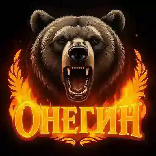 Позывной ОНЕГИН