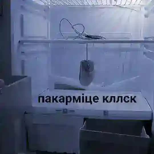 цяп ляп