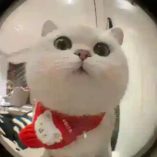 тг темы 🦋 android