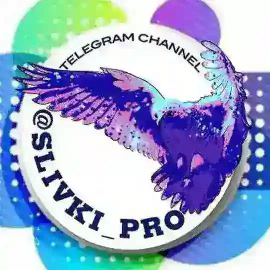SLIVki_PRO | СЛИВ КУРСОВ