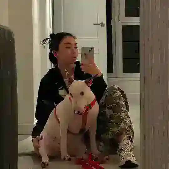 PoowerHuewer
