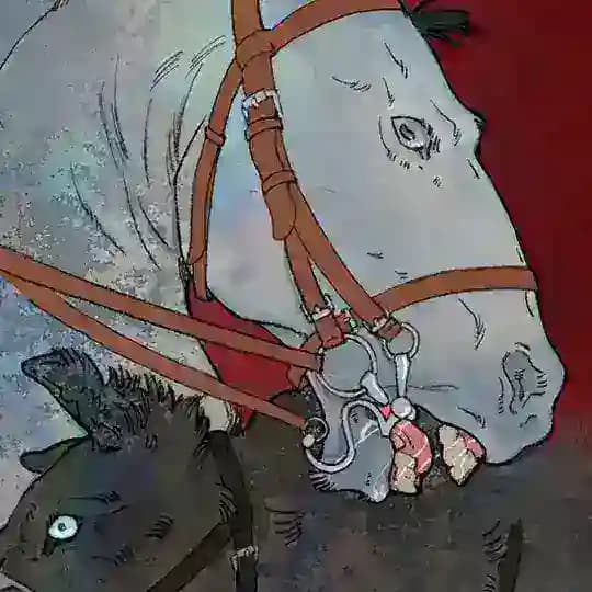 redschlucht 🐅