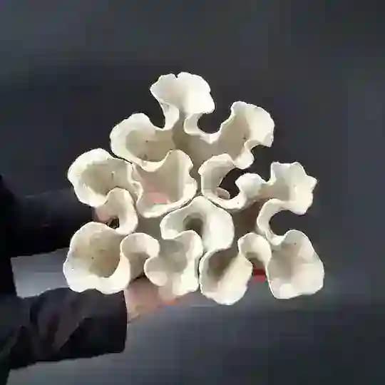 SAFÓ ceramics