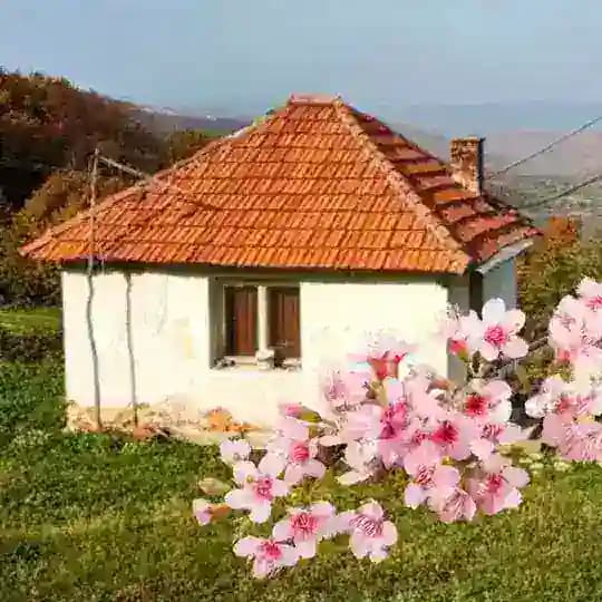 Красивая Сербия ♡