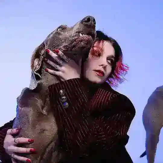 Собачий Live