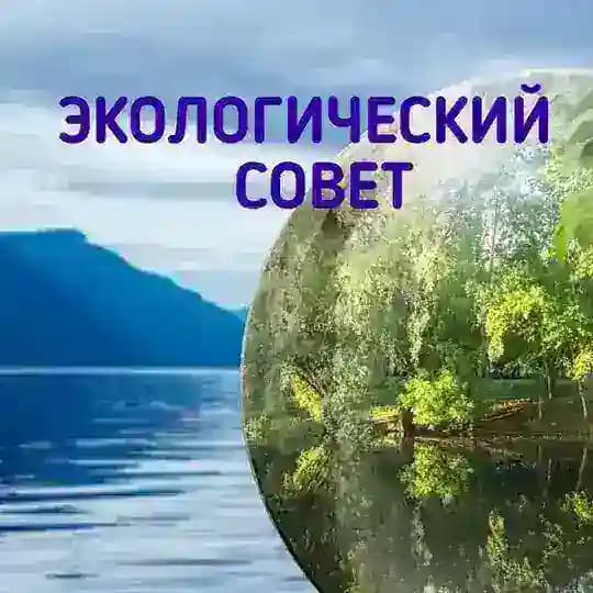 🔵 ЭКОЛОГИЧЕСКИЙ СОВЕТ