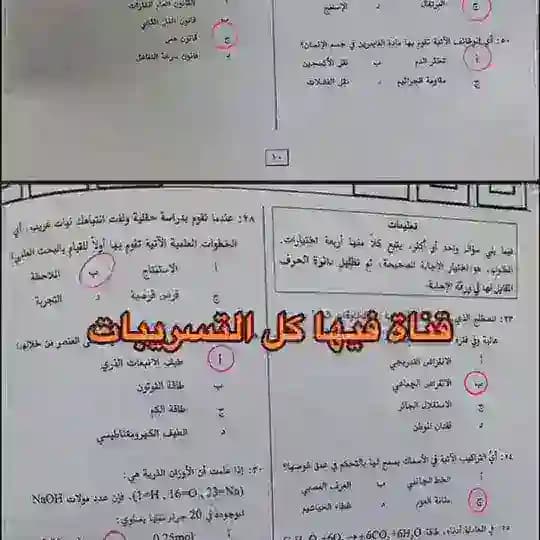 تسريبات تحصيلي Profile