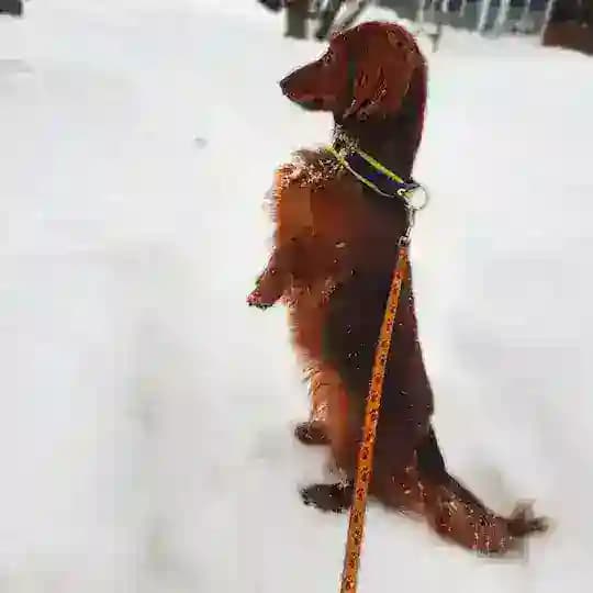 ТАКСОПАРК