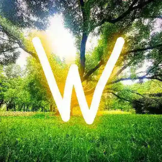 Wnature🌳