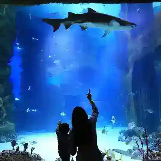 ЯРКИЕ БУДНИ