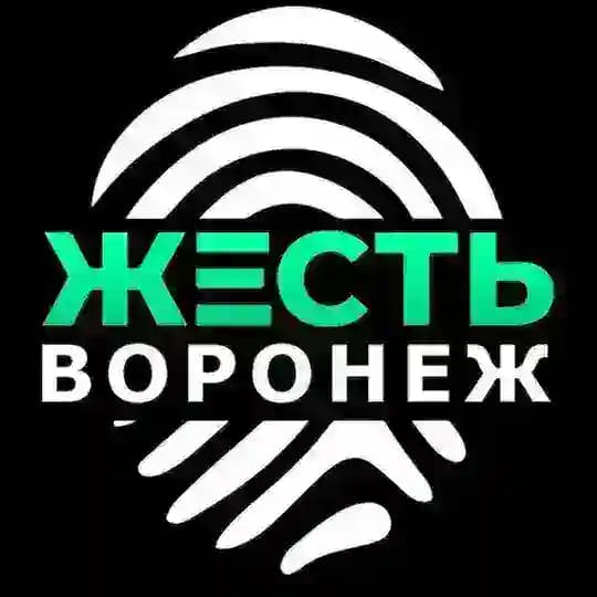 Жесть Воронеж
