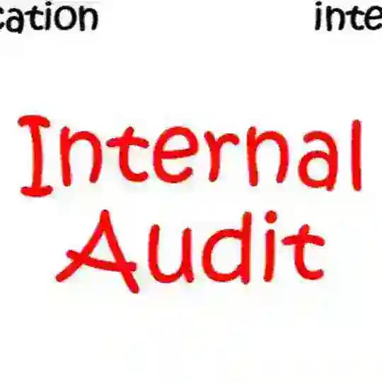 Ala’ Abu Naba’a - Internal Audit