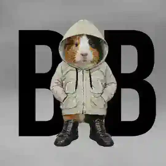 BB Clothes