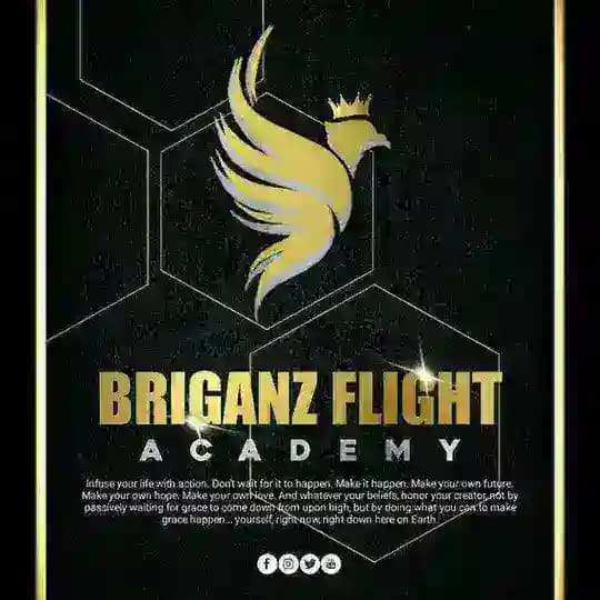BRIGANZ FLIGHT ACADEMY Profile