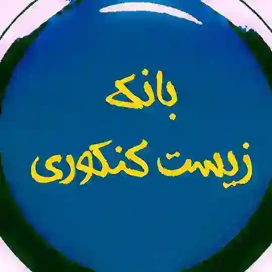 بانک زیست ( دهم یازدهم دوازدهم جامع همدانی عمارلو حنیف عظیمی موقاری فرهمندنیا خیراندیش معصوم نیا هاشمی نشتایی آرایش ده بزرگی