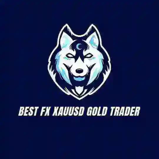 BEST XAUUSD GOLD TRADER 1