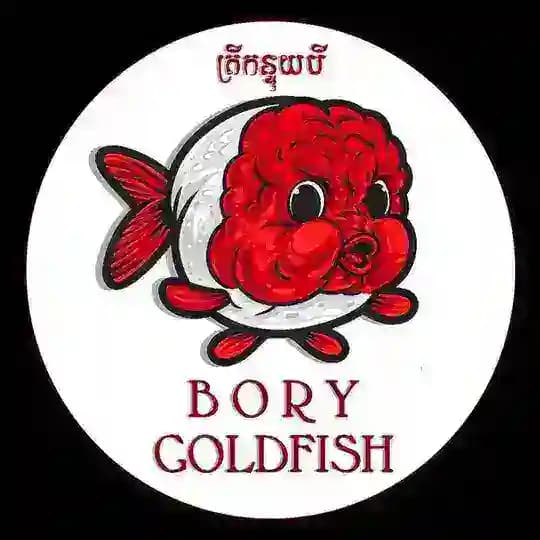 BORY GOLDFISH