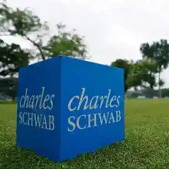 CHARLES SCHWAB FX SIGNALS