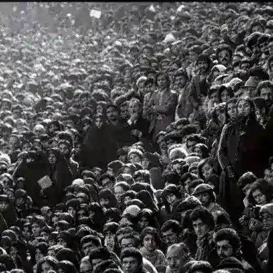 نقد نامه | اکبر محمدی