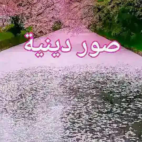 ♡♡صور دينية♡♡ Profile
