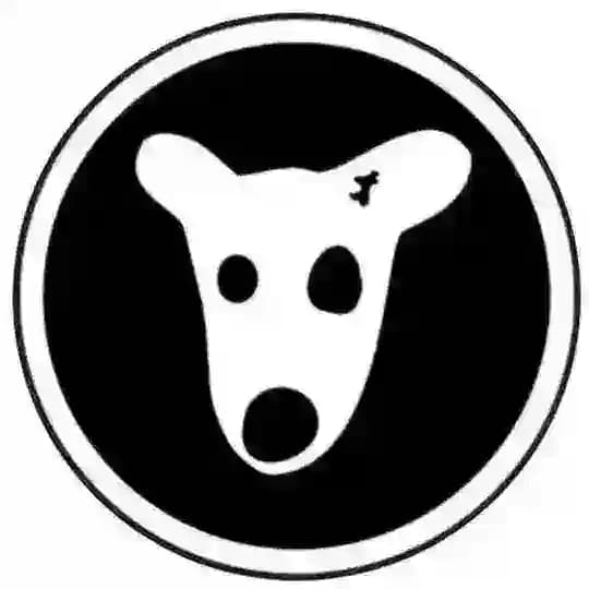 ایردراپ | دیلی کامبو | Airdrop