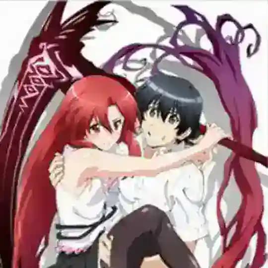 Dakara Boku wa, H ga Dekinai.