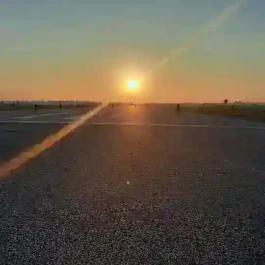 DiWiSa Die Wissenschaft sagt Profile