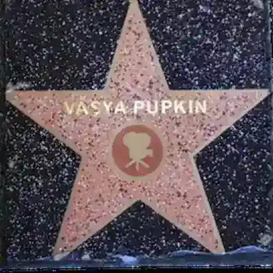 Stars