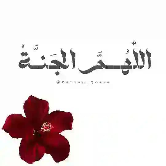 اللّٰهُــمَّ الجَنــَّةْ