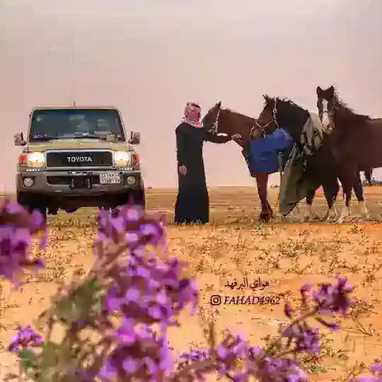 هواي البر فهد