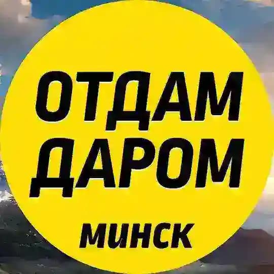 Отдам даром Минск!